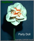 Party doll