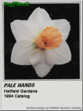 Pale hands