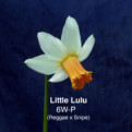 Little Lulu