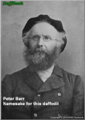 Peter barr