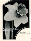 Madame van Waveren